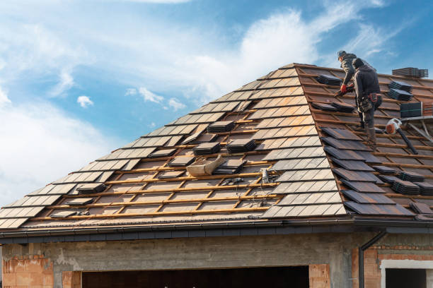 Best Metal Roofing Installation  in Bolivar, TN